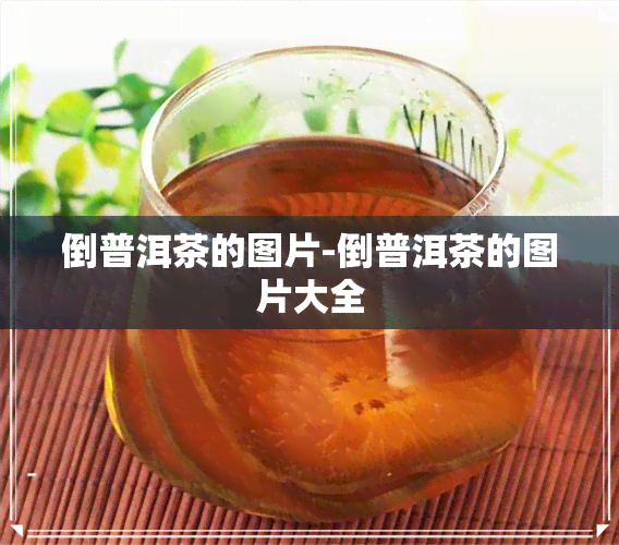 倒普洱茶的图片-倒普洱茶的图片大全