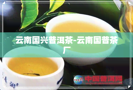 云南国兴普洱茶-云南国普茶厂