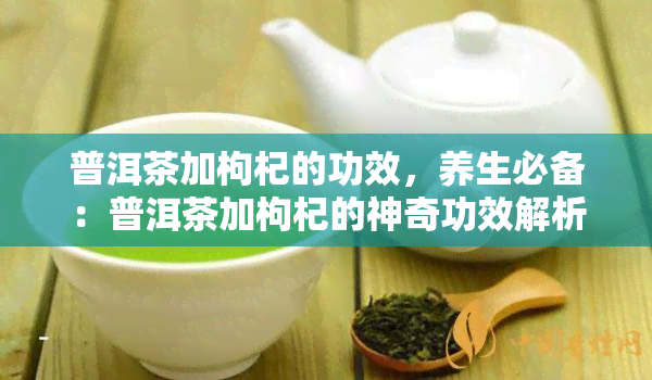 普洱茶加枸杞的功效，养生必备：普洱茶加枸杞的神奇功效解析