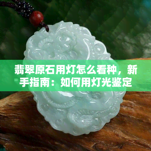 翡翠原石用灯怎么看种，新手指南：如何用灯光鉴定翡翠原石的种水？