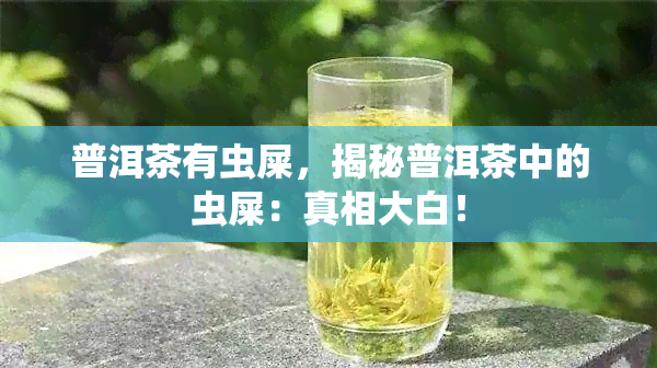 普洱茶有虫屎，揭秘普洱茶中的虫屎：真相大白！