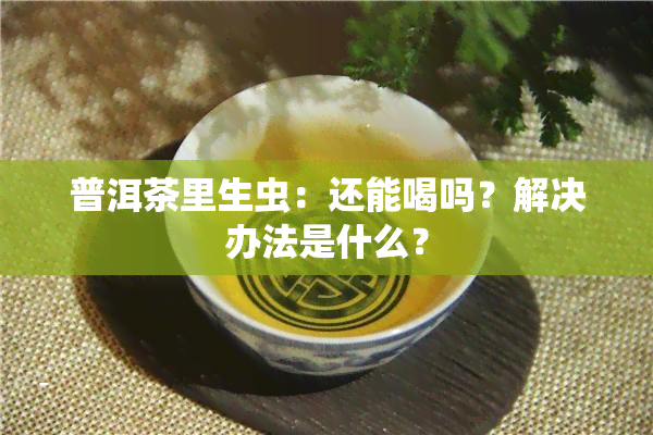 普洱茶里生虫：还能喝吗？解决办法是什么？