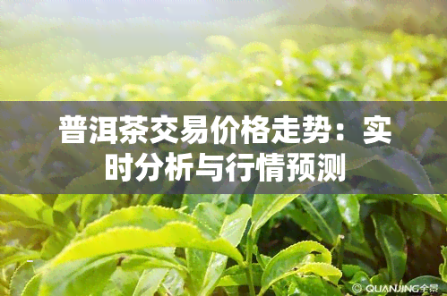 普洱茶交易价格走势：实时分析与行情预测