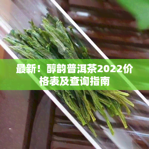 最新！醇韵普洱茶2022价格表及查询指南