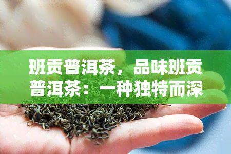 班贡普洱茶，品味班贡普洱茶：一种独特而深厚的茶香体验