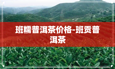 班糯普洱茶价格-班贡普洱茶