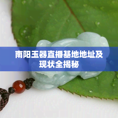 南阳玉器直播基地地址及现状全揭秘