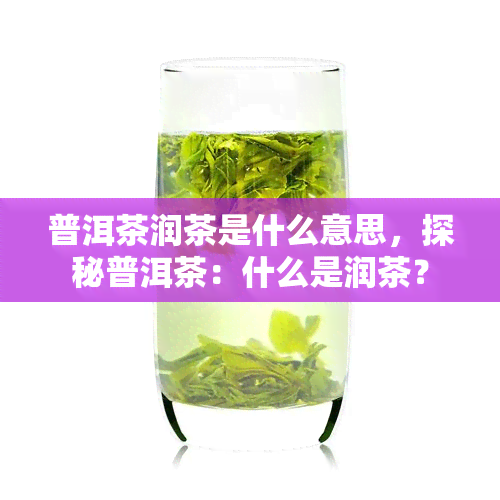 普洱茶润茶是什么意思，探秘普洱茶：什么是润茶？