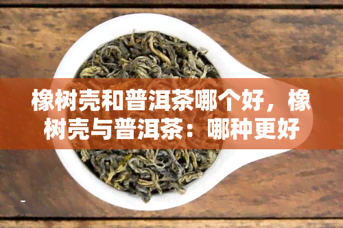 橡树壳和普洱茶哪个好，橡树壳与普洱茶：哪种更好？