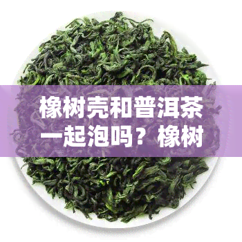 橡树壳和普洱茶一起泡吗？橡树壳的用功效与橡皮树有何区别？