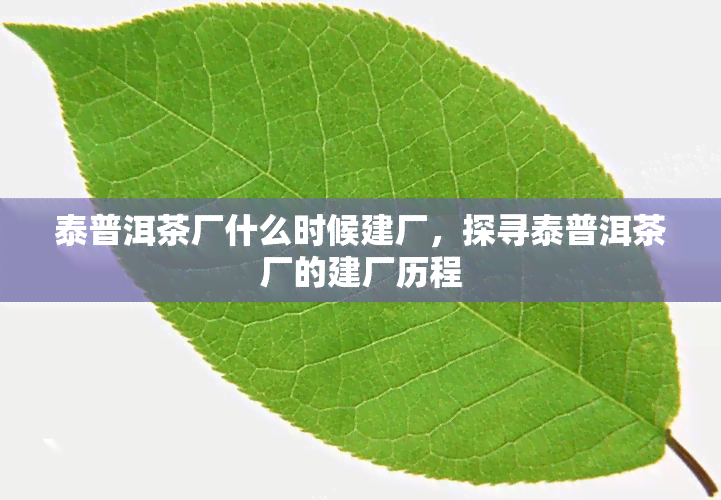 泰普洱茶厂什么时候建厂，探寻泰普洱茶厂的建厂历程