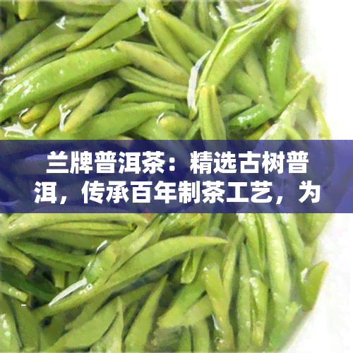 兰牌普洱茶：精选古树普洱，传承百年制茶工艺，为您带来纯正口感的兰茶产品。欢迎品尝兰茶叶，感受云南兰茶厂的独特魅力！