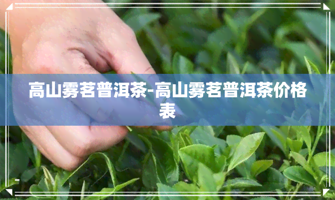 高山雾茗普洱茶-高山雾茗普洱茶价格表