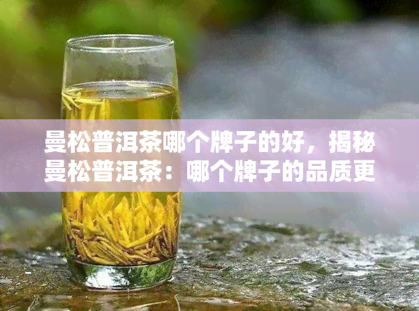 曼松普洱茶哪个牌子的好，揭秘曼松普洱茶：哪个牌子的品质更胜一筹？