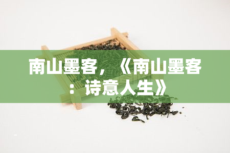 南山墨客，《南山墨客：诗意人生》