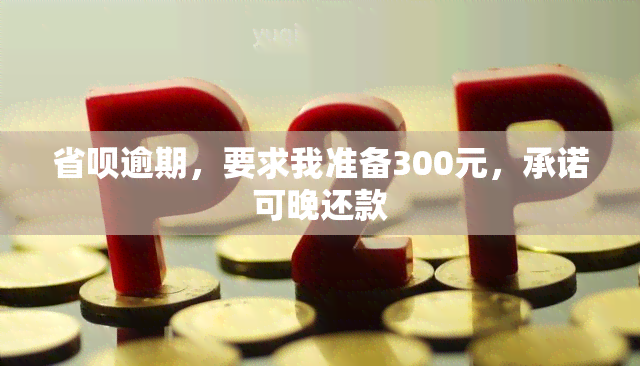 省呗逾期，要求我准备300元，承诺可晚还款