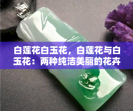 白莲花白玉花，白莲花与白玉花：两种纯洁美丽的花卉比较