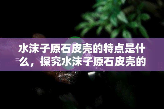 水沫子原石皮壳的特点是什么，探究水沫子原石皮壳的独特特点