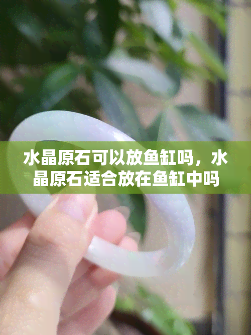 水晶原石可以放缸吗，水晶原石适合放在缸中吗？探讨其可能的影响与作用