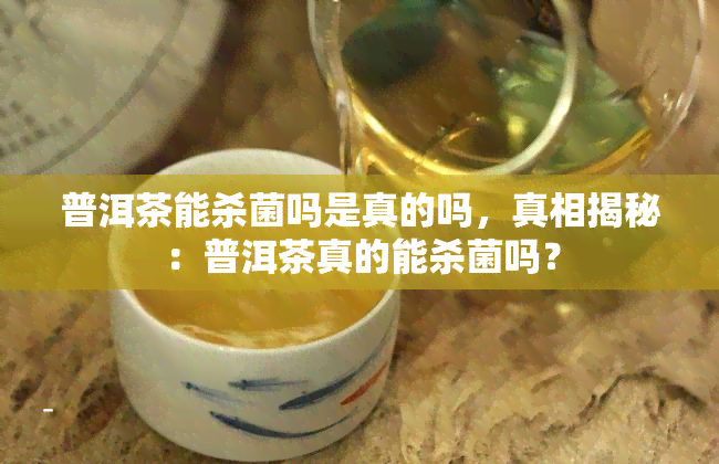 普洱茶能杀菌吗是真的吗，真相揭秘：普洱茶真的能杀菌吗？