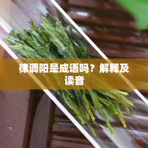 律调阳是成语吗？解释及读音