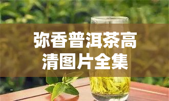 弥香普洱茶高清图片全集