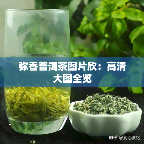 弥香普洱茶图片欣：高清大图全览