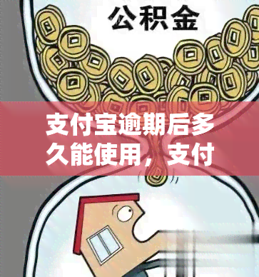 支付宝逾期后多久能使用，支付宝逾期后多长时间可以恢复正常使用？