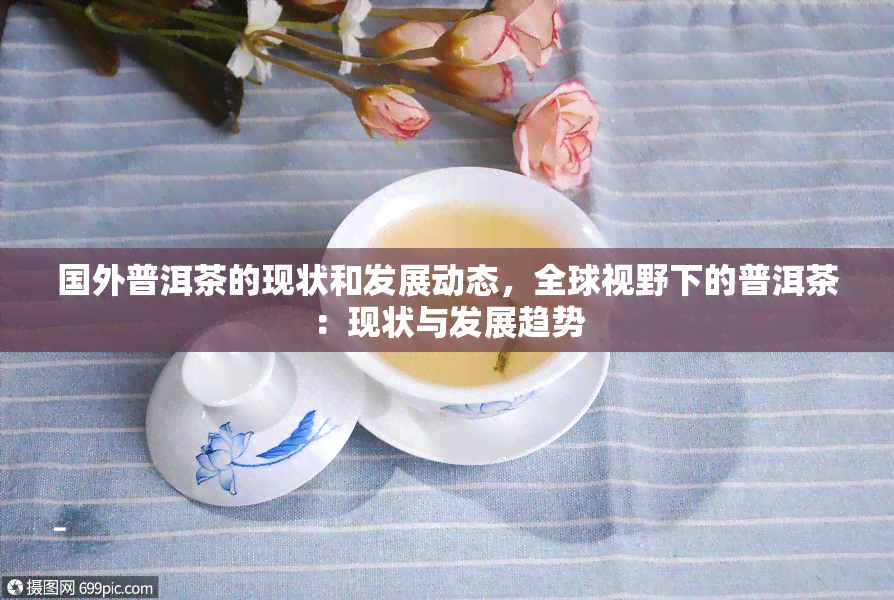 国外普洱茶的现状和发展动态，全球视野下的普洱茶：现状与发展趋势