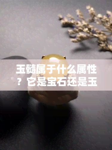 玉髓属于什么属性？它是宝石还是玉石？详细解析