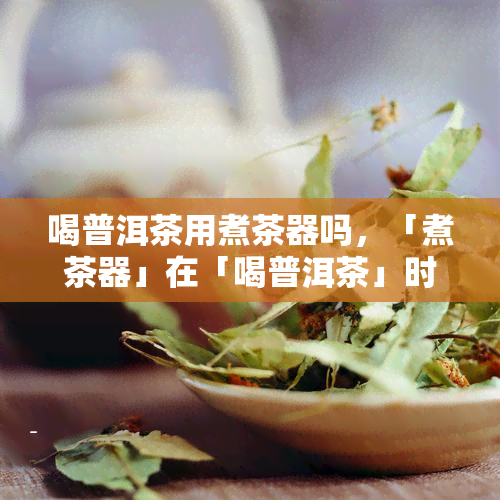 喝普洱茶用煮茶器吗，「煮茶器」在「喝普洱茶」时是否必要？