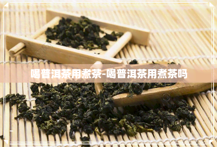 喝普洱茶用煮茶-喝普洱茶用煮茶吗