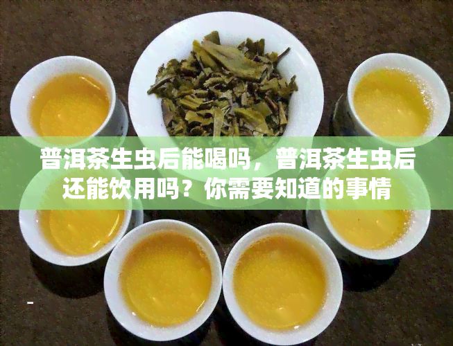 普洱茶生虫后能喝吗，普洱茶生虫后还能饮用吗？你需要知道的事情