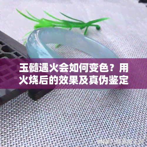 玉髓遇火会如何变色？用火烧后的效果及真伪鉴定全解析