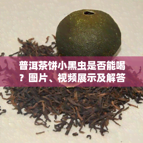 普洱茶饼小黑虫是否能喝？图片、视频展示及解答