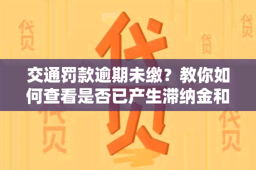 交通罚款逾期未缴？教你如何查看是否已产生滞纳金和罚单，查询交款状态及确认缴款成功！