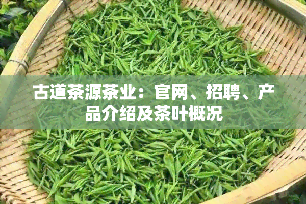 古道茶源茶业：官网、招聘、产品介绍及茶叶概况