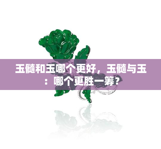 玉髓和玉哪个更好，玉髓与玉：哪个更胜一筹？