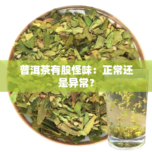 普洱茶有股怪味：正常还是异常？