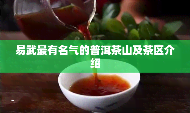 易武最有名气的普洱茶山及茶区介绍