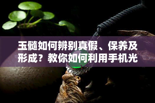 玉髓如何辨别真假、保养及形成？教你如何利用手机光鉴定和保养让其越来越润，同时分辨是否染色