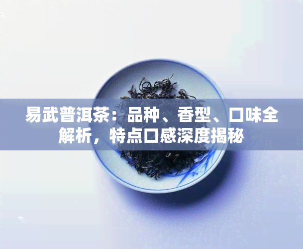 易武普洱茶：品种、香型、口味全解析，特点口感深度揭秘