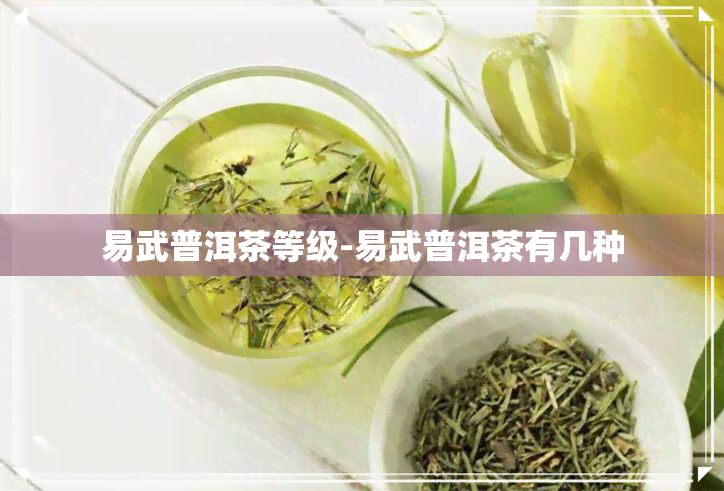 易武普洱茶等级-易武普洱茶有几种