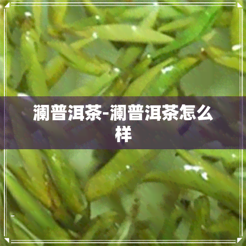 澜普洱茶-澜普洱茶怎么样