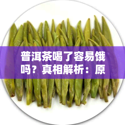 普洱茶喝了容易饿吗？真相解析：原因与影响