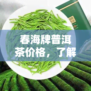 春海牌普洱茶价格，了解春海牌普洱茶价格，品味优质茶叶的美味！