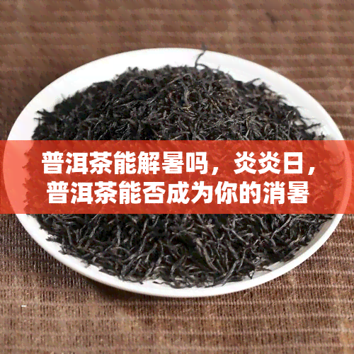 普洱茶能解暑吗，炎炎日，普洱茶能否成为你的消暑良品？