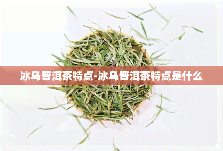 冰乌普洱茶特点-冰乌普洱茶特点是什么