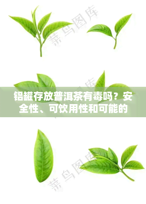 铝罐存放普洱茶有吗？安全性、可饮用性和可能的中风险全解析