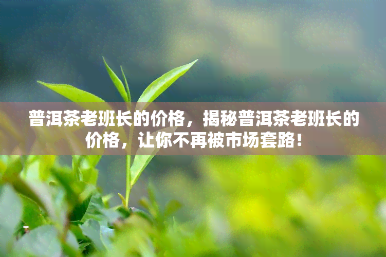 普洱茶老班长的价格，揭秘普洱茶老班长的价格，让你不再被市场套路！